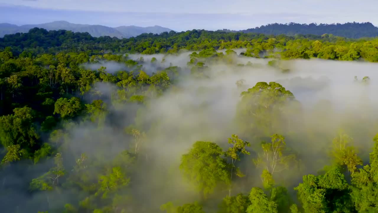 7.英文第二季-01.草场(Av382230102,P7)