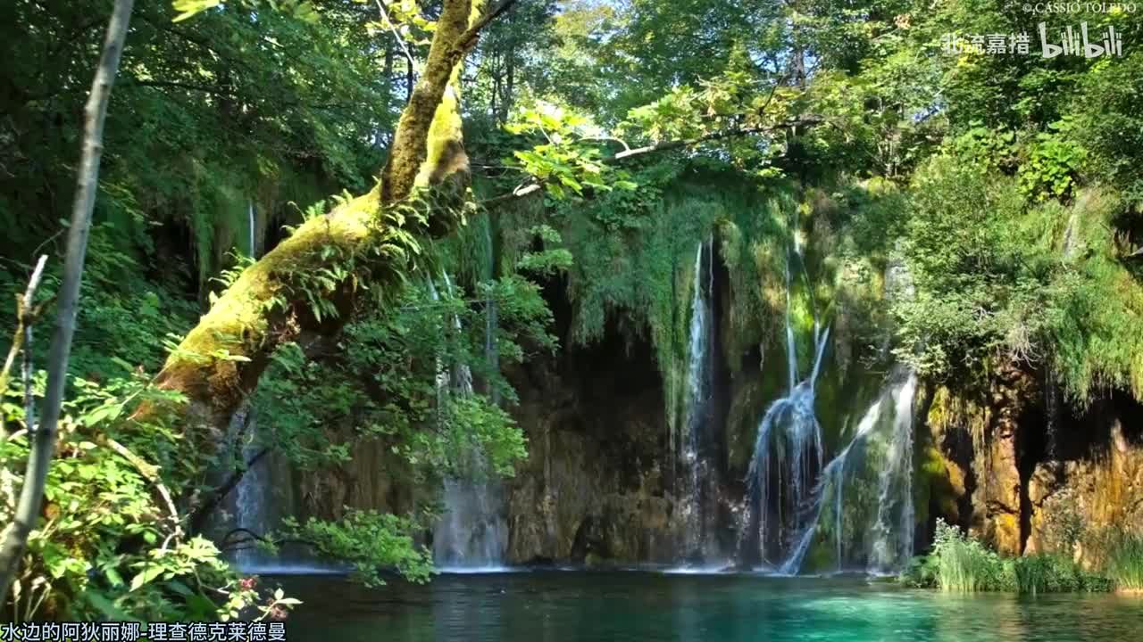 015.水边的阿狄丽娜-理查德克莱德曼