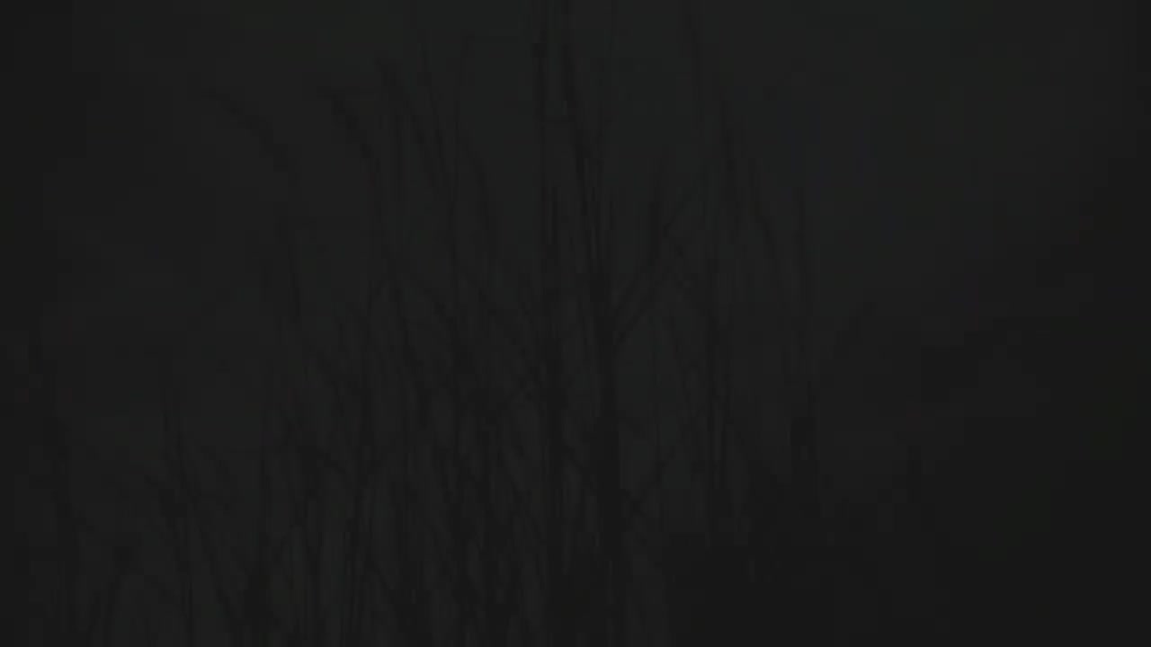 3-13 晚秋 (欧俪雯)