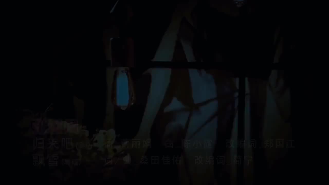 2-11 归来吧 + 飘雪 (张淑凤)