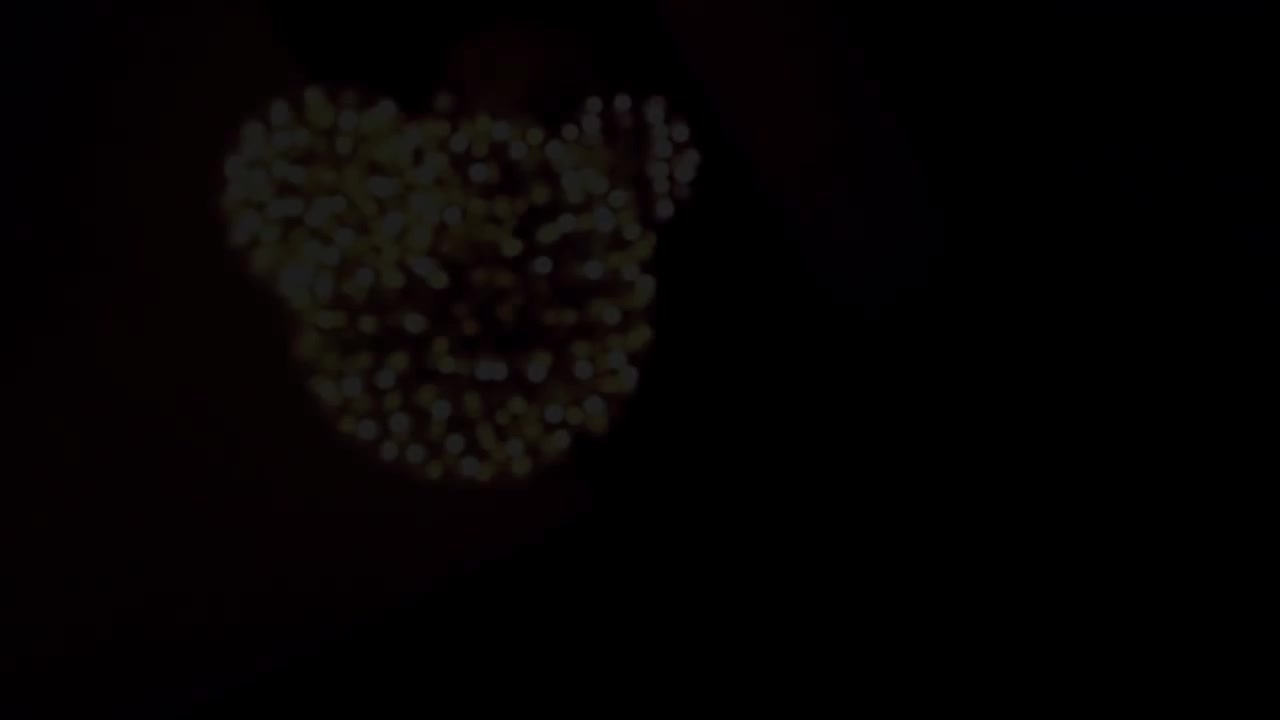 1-10 心债 (黄晓凤)