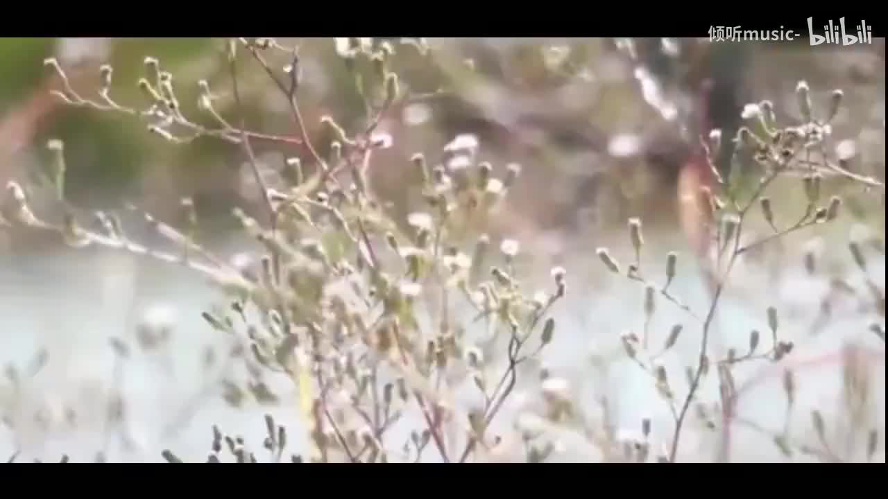 《我们都是好孩子》-王筝