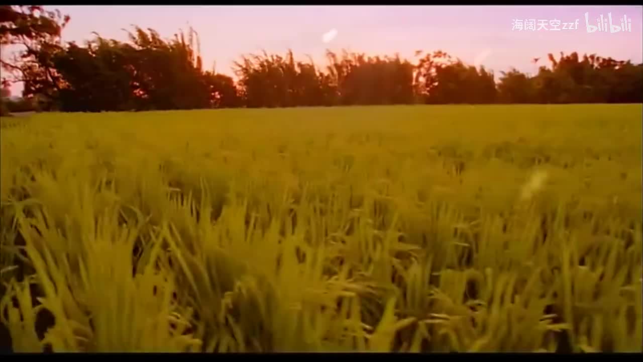 周杰伦《稻香》KTV版