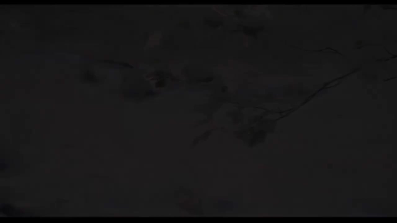 可惜不是你 - 梁静茹