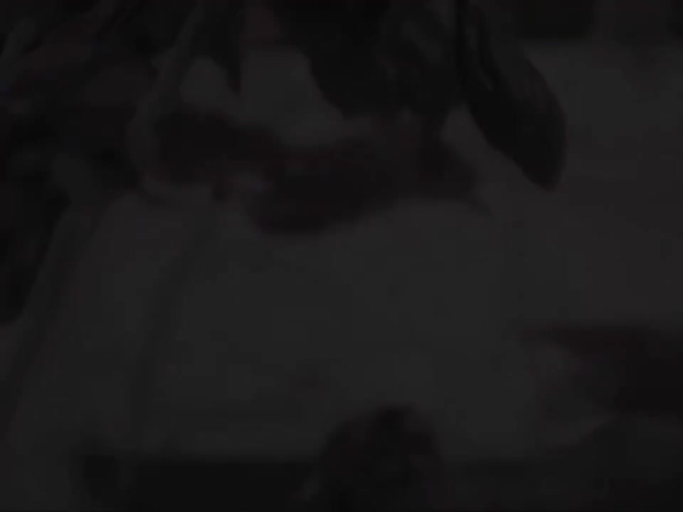 就是爱你 - 陶喆