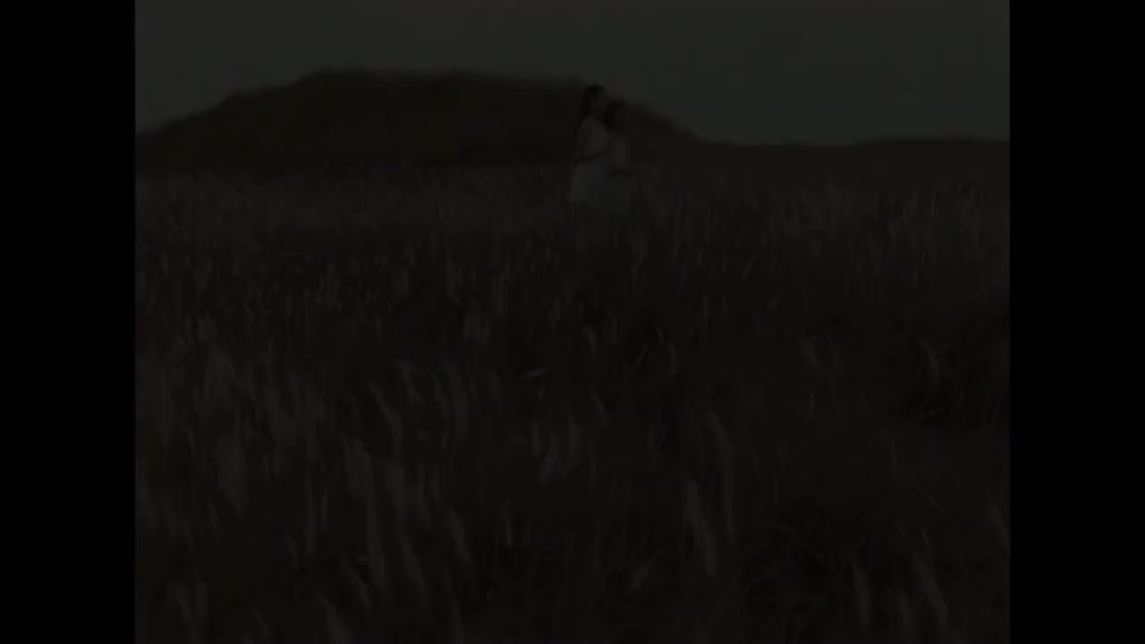 天黑黑 - 孙燕姿