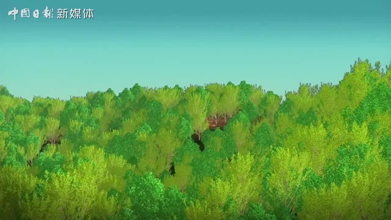 19：大凉山里的“悬崖村”