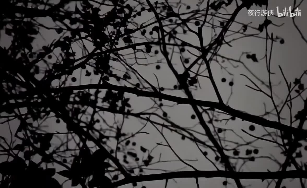 莫斯科没有眼泪 - Twins