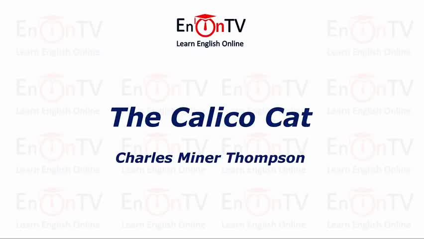 45.查尔斯·迈纳·汤普森《印花布猫》