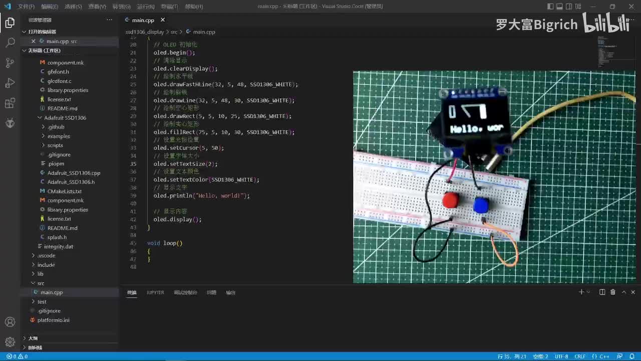 19. 动态进度条动画