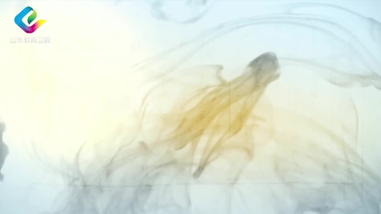 梁涛：《大学》解读之 诚意慎独 14