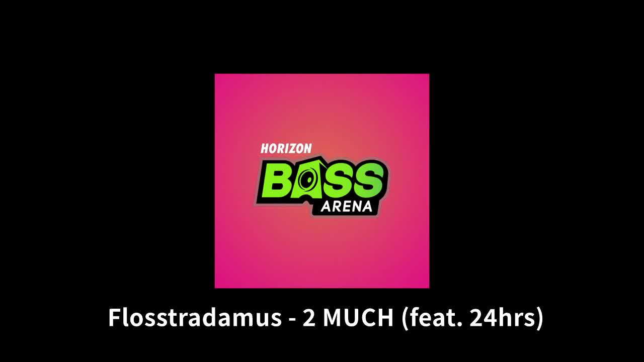 【Bass Arena】2 MUCH