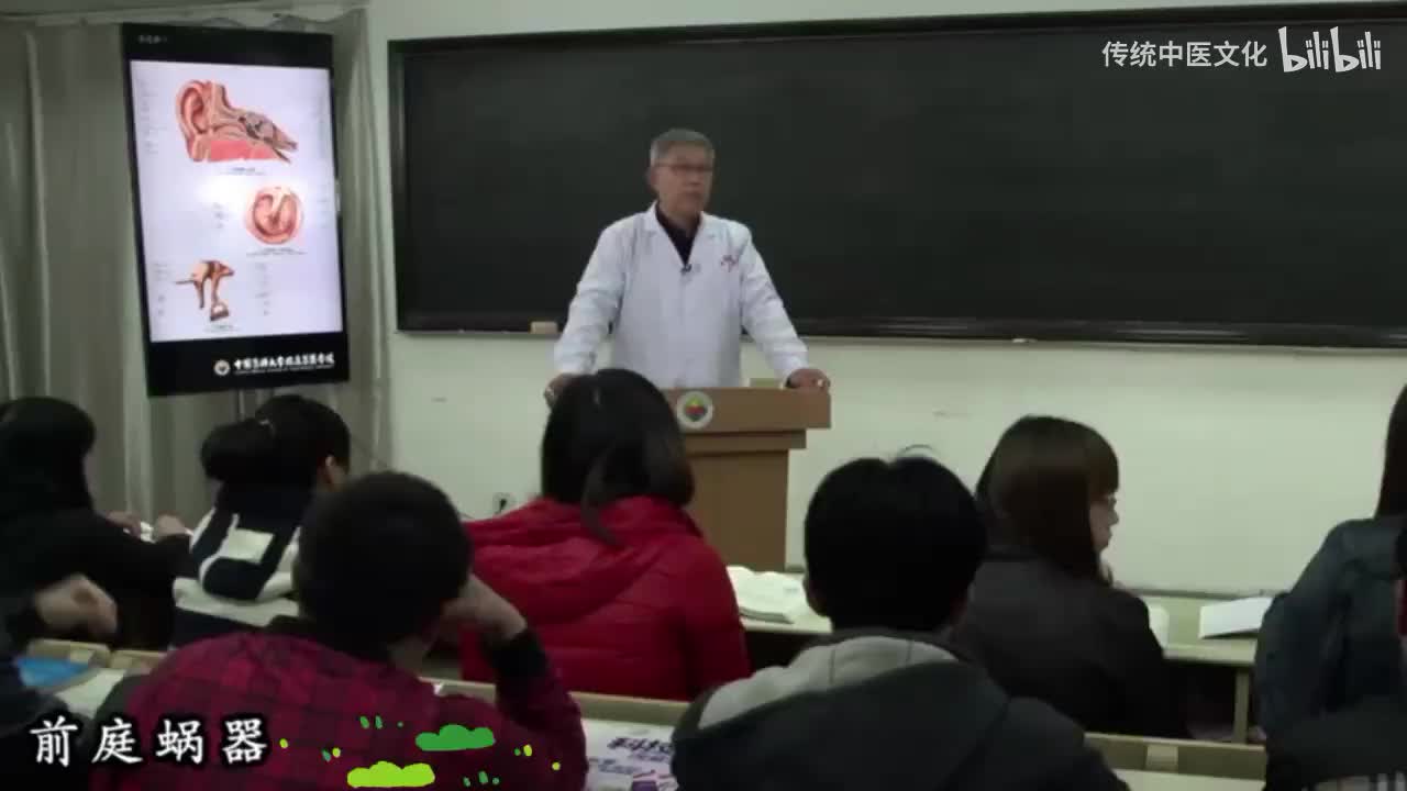 44-解刨学-感觉器-前庭蜗器