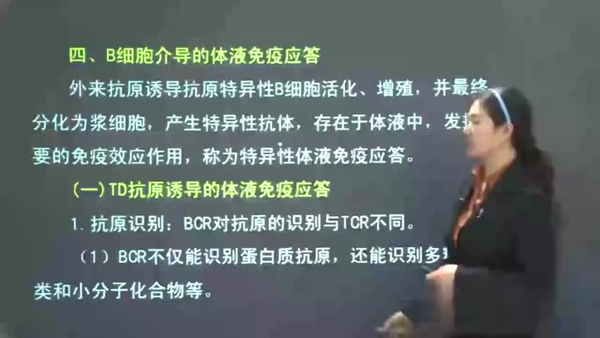 14-医学免疫学 P14 免疫应答