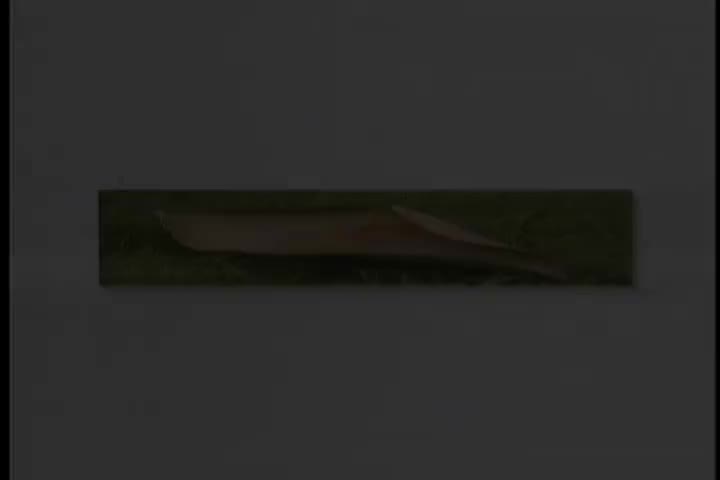 碟A 07 青山-梅兰梅兰我爱你（华声）