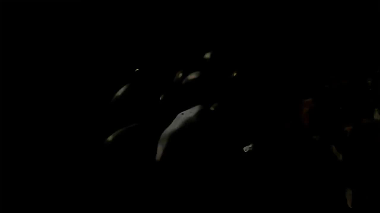 《地球成长史》下