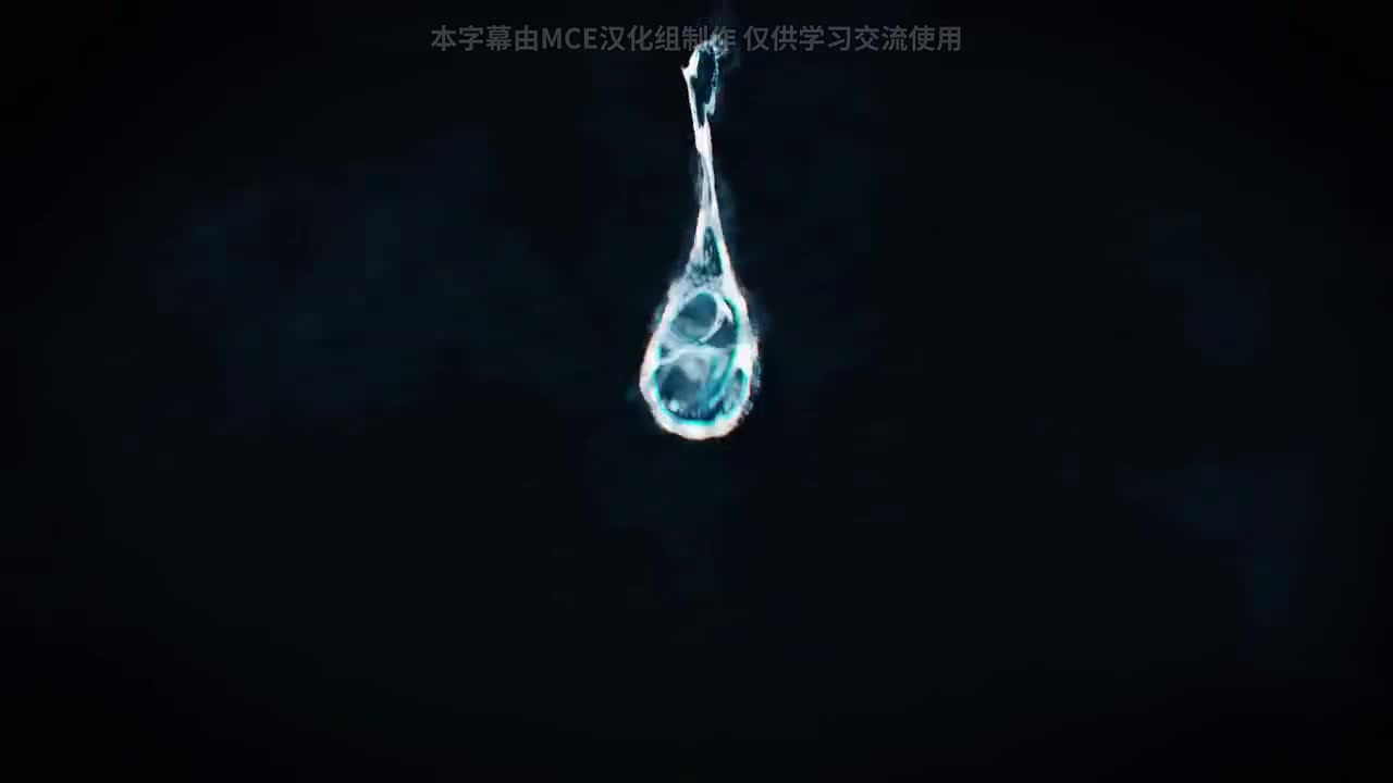 NCOP【MCE汉化组】4K画质