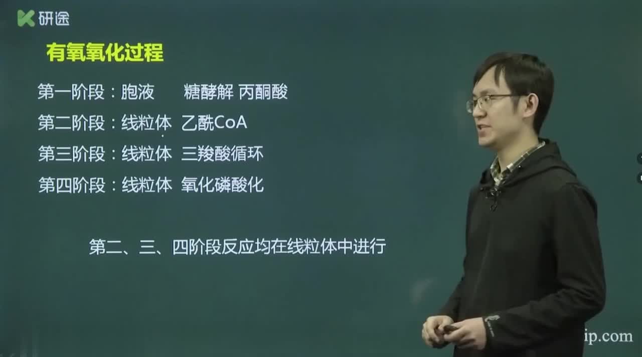 第四章 糖代谢-2