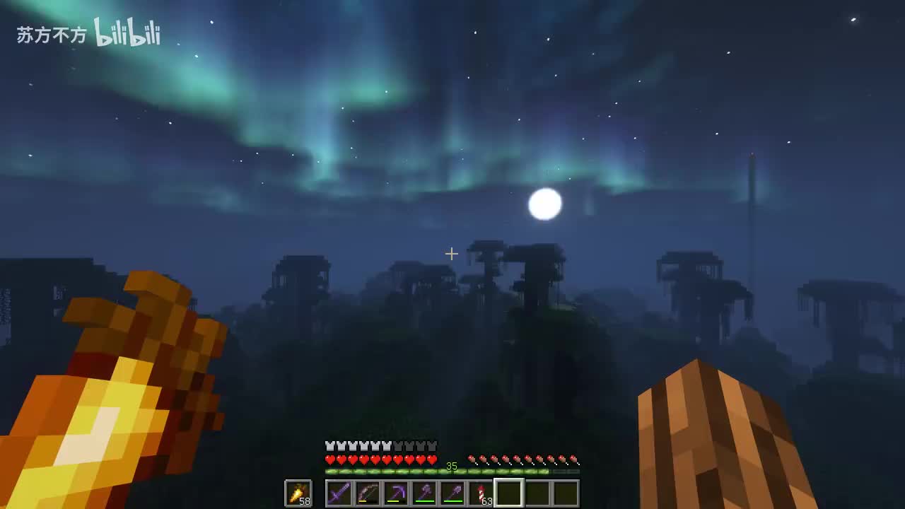 137-带熊猫鹦鹉兔子豹猫回家和建造牧场