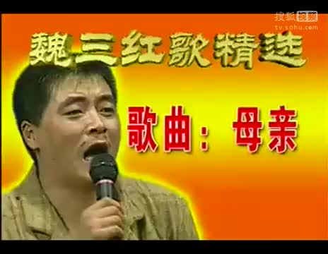 《魏三红歌精选》