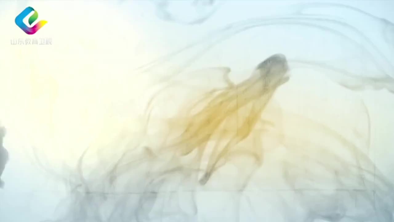 16-梁涛：诚意慎独 16