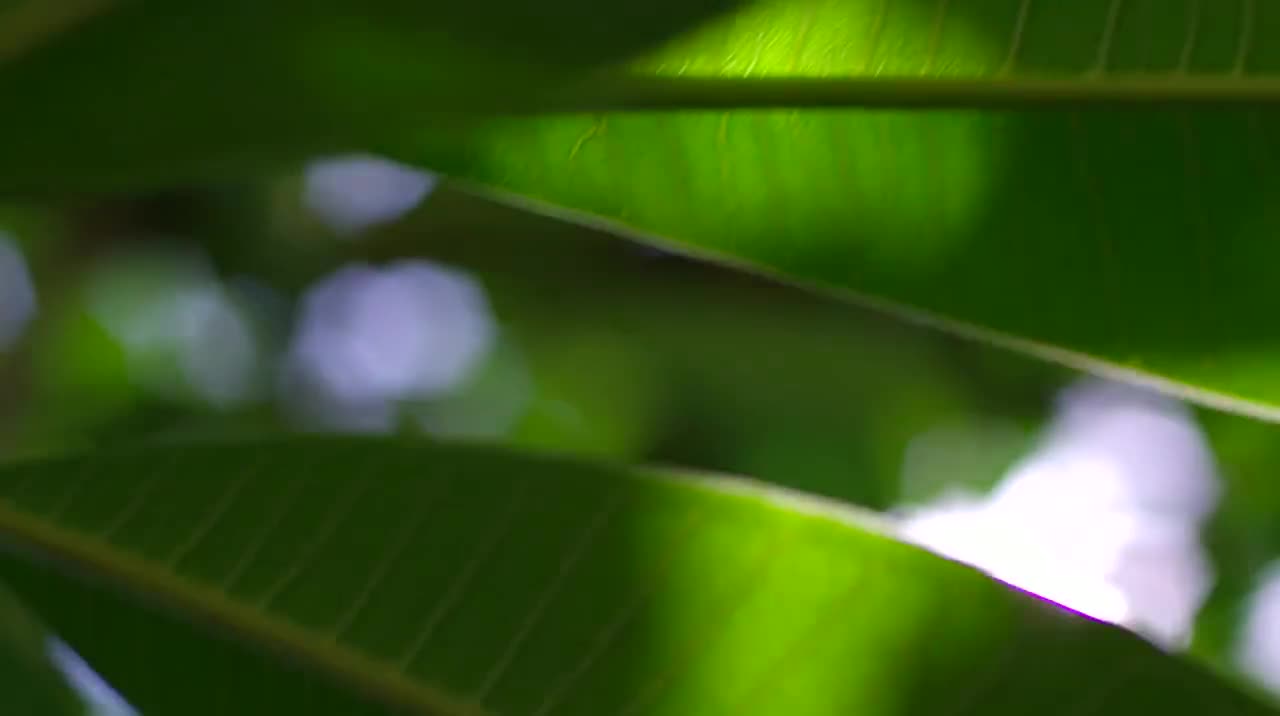 第3集 美味相传