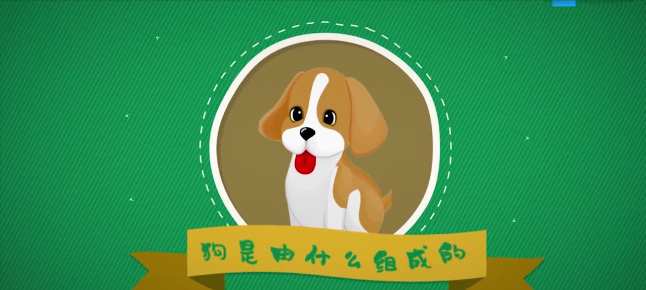 08.钙——骨与石