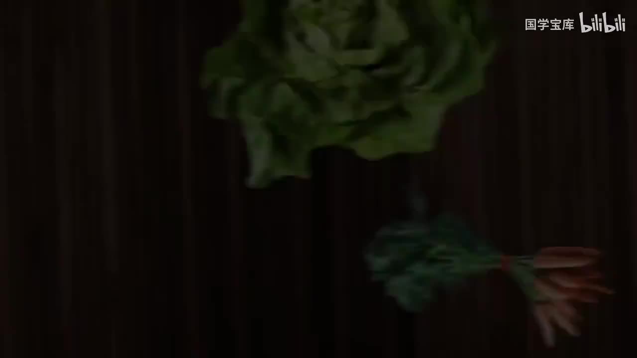 24-碳水化合物的消化和吸收