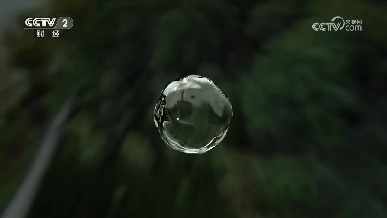 第4集 机思敏捷