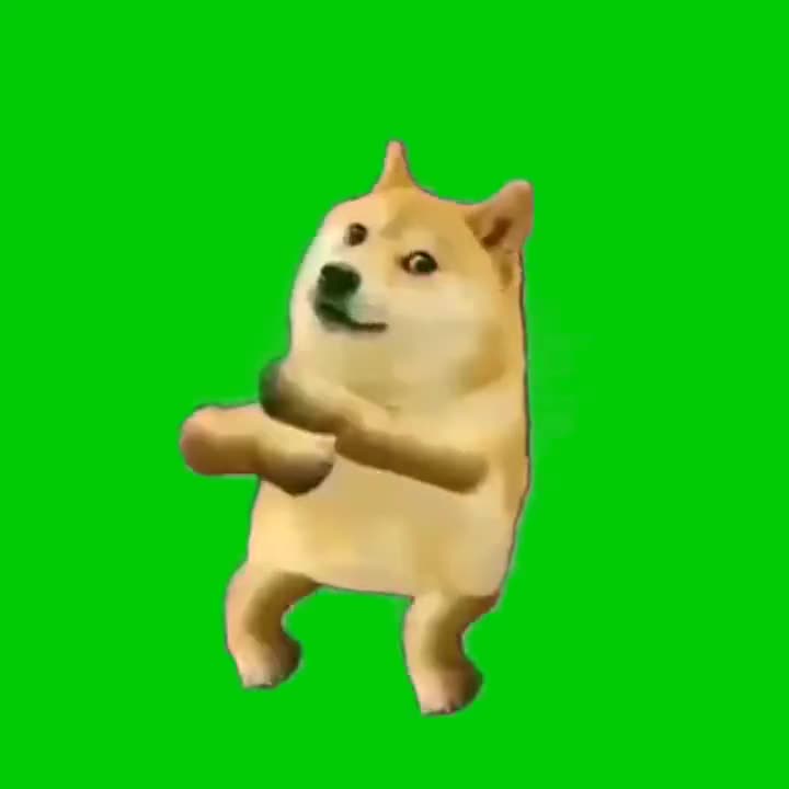 doge跳舞Doge dancing green screen