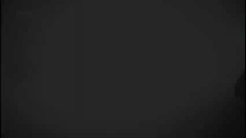 2.苏轼-大江东去&成竹在胸