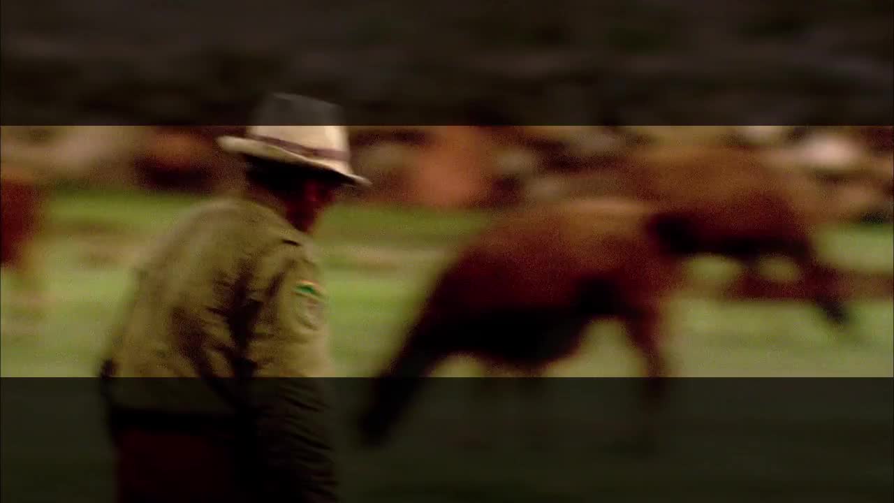 第3集：股票市场：泡沫的产生