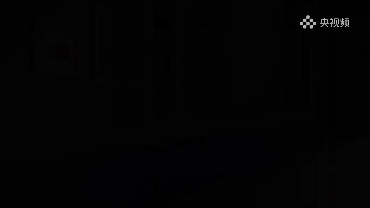 002.美术里的中国-黄宾虹