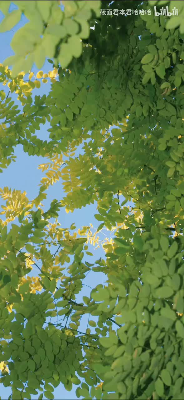 19.加藤达也 - まことの高校生活