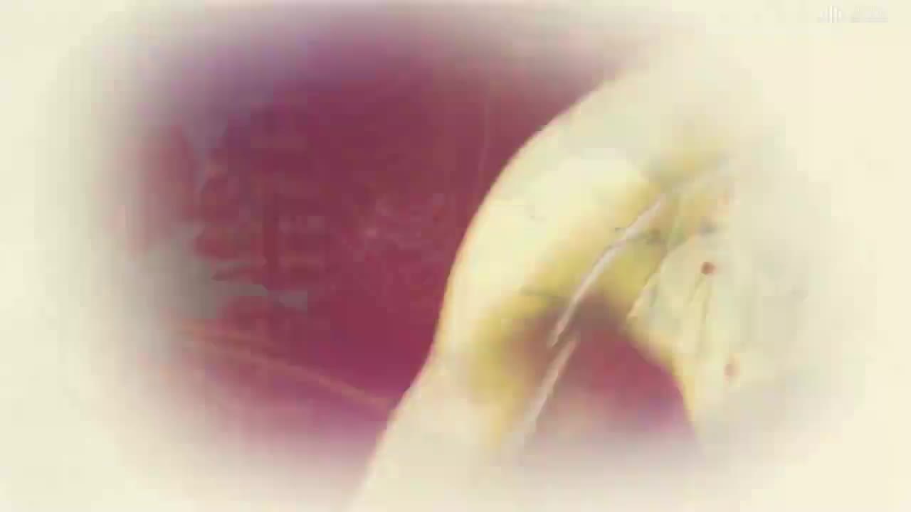 [4.18.6]--手少阴经