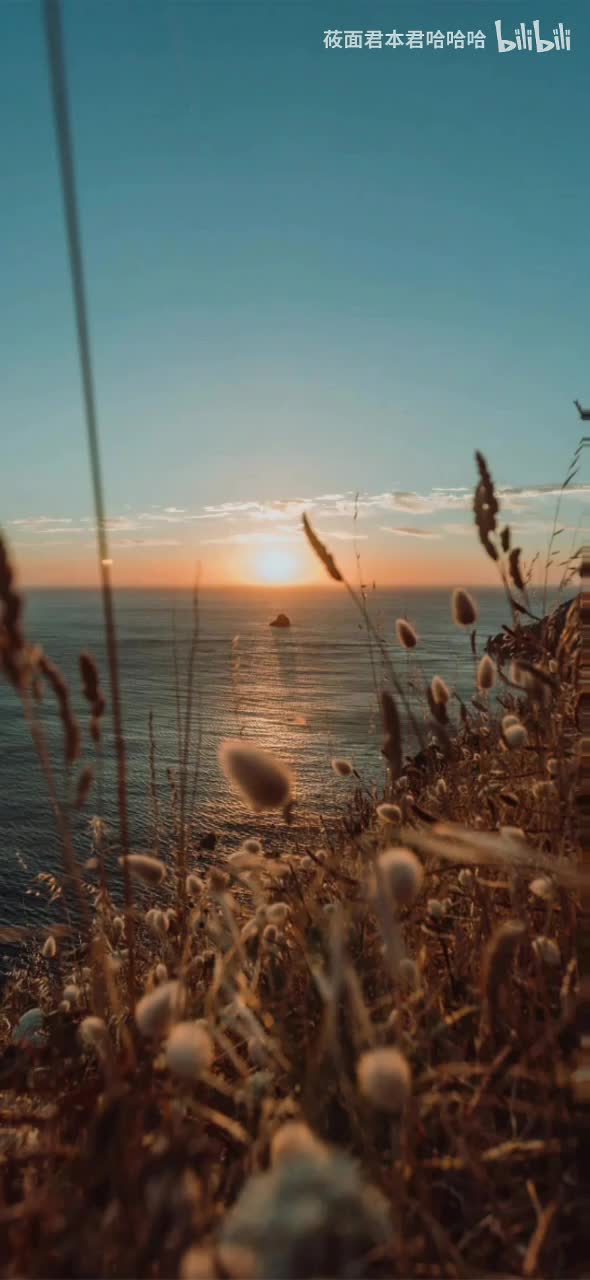 29.加藤达也 - 花咲く斜面