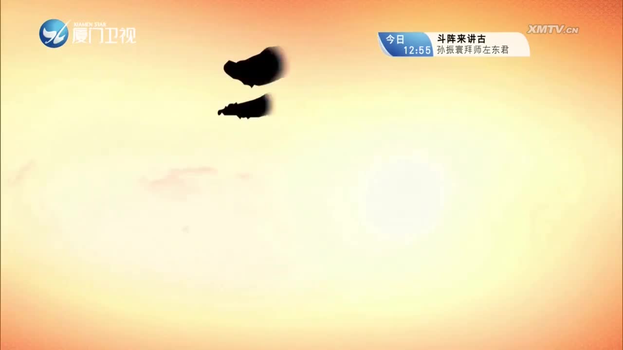 柳君拂（3） 斗阵来看戏 2023.09.28 - 厦门卫视