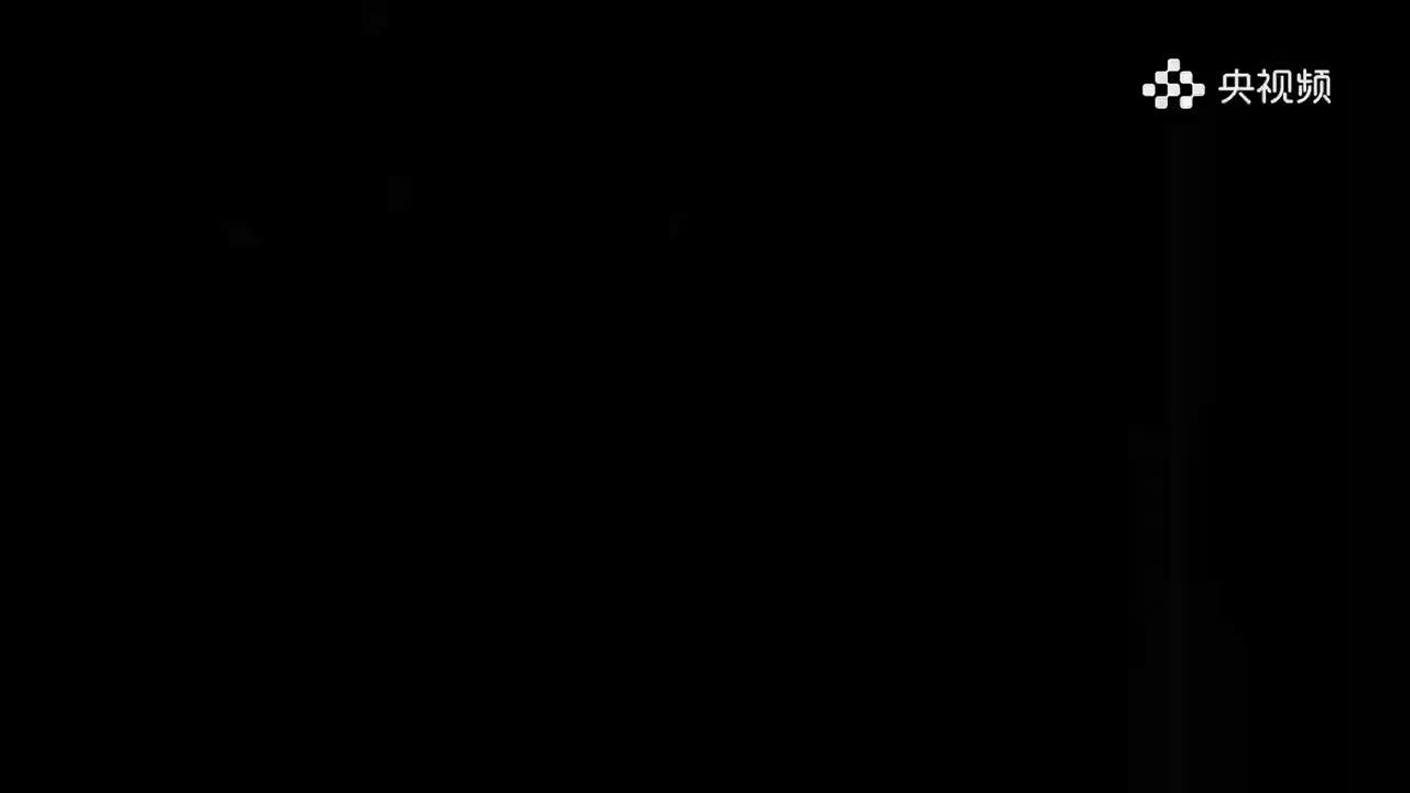 004.美术里的中国-徐悲鸿-奔马