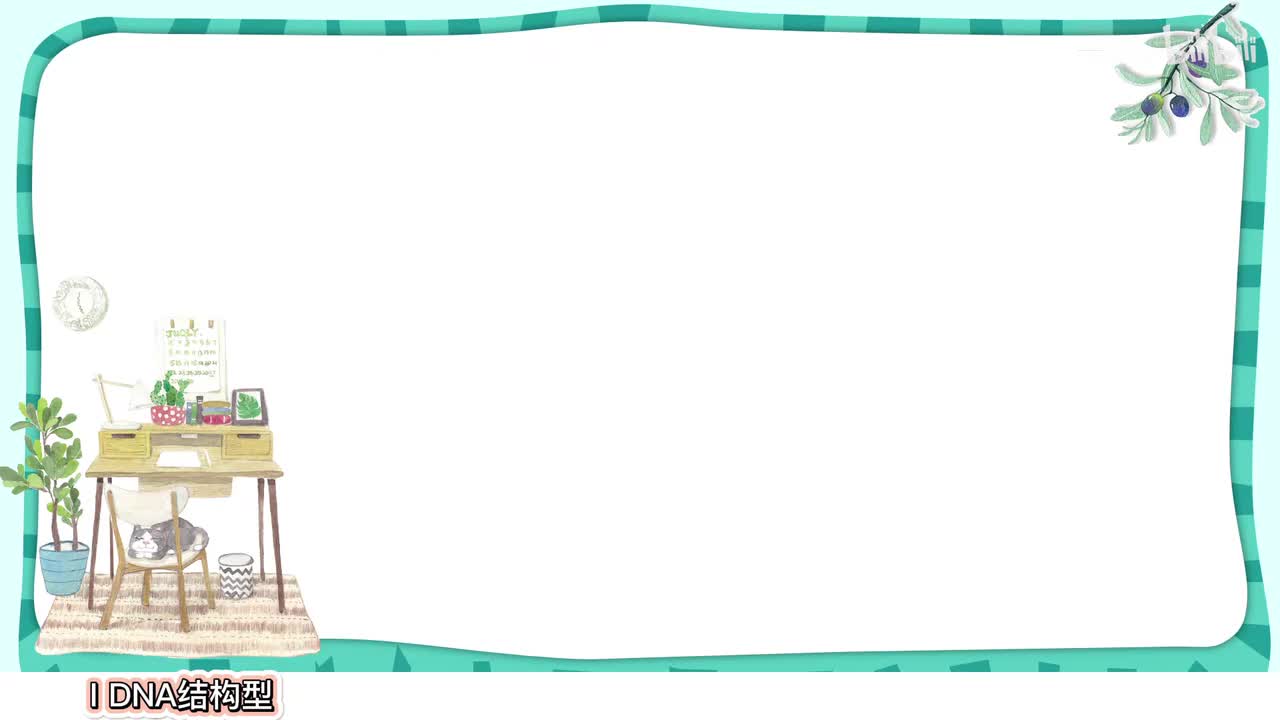 基因的本质】3DNA结构和碱基计算【考点】基础-中档