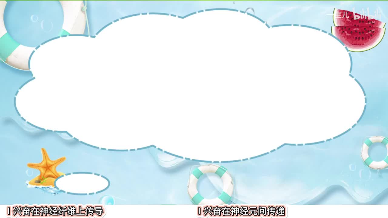 神经调节】2神经冲动的产生和传导【辞典】