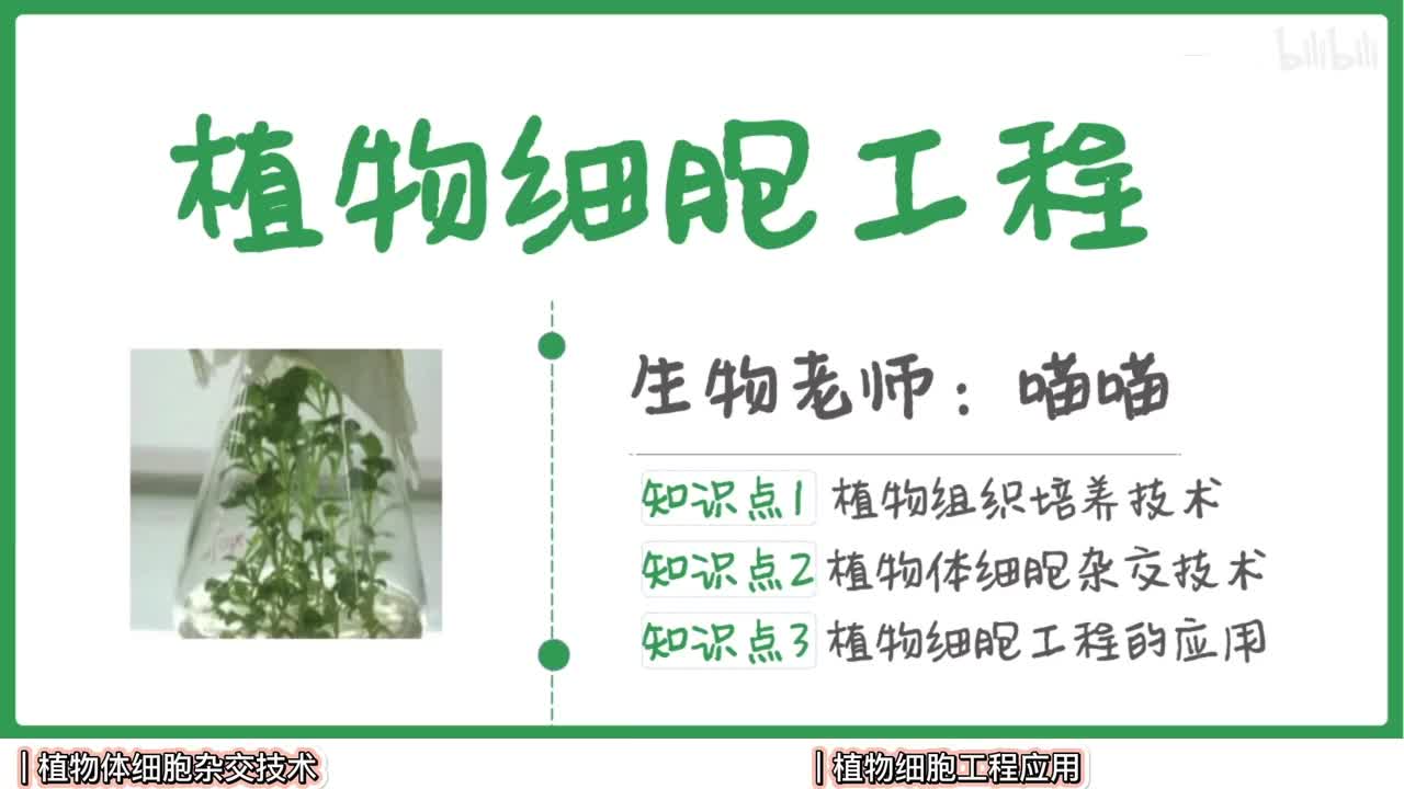细胞工程】2植物细胞杂交【辞典】
