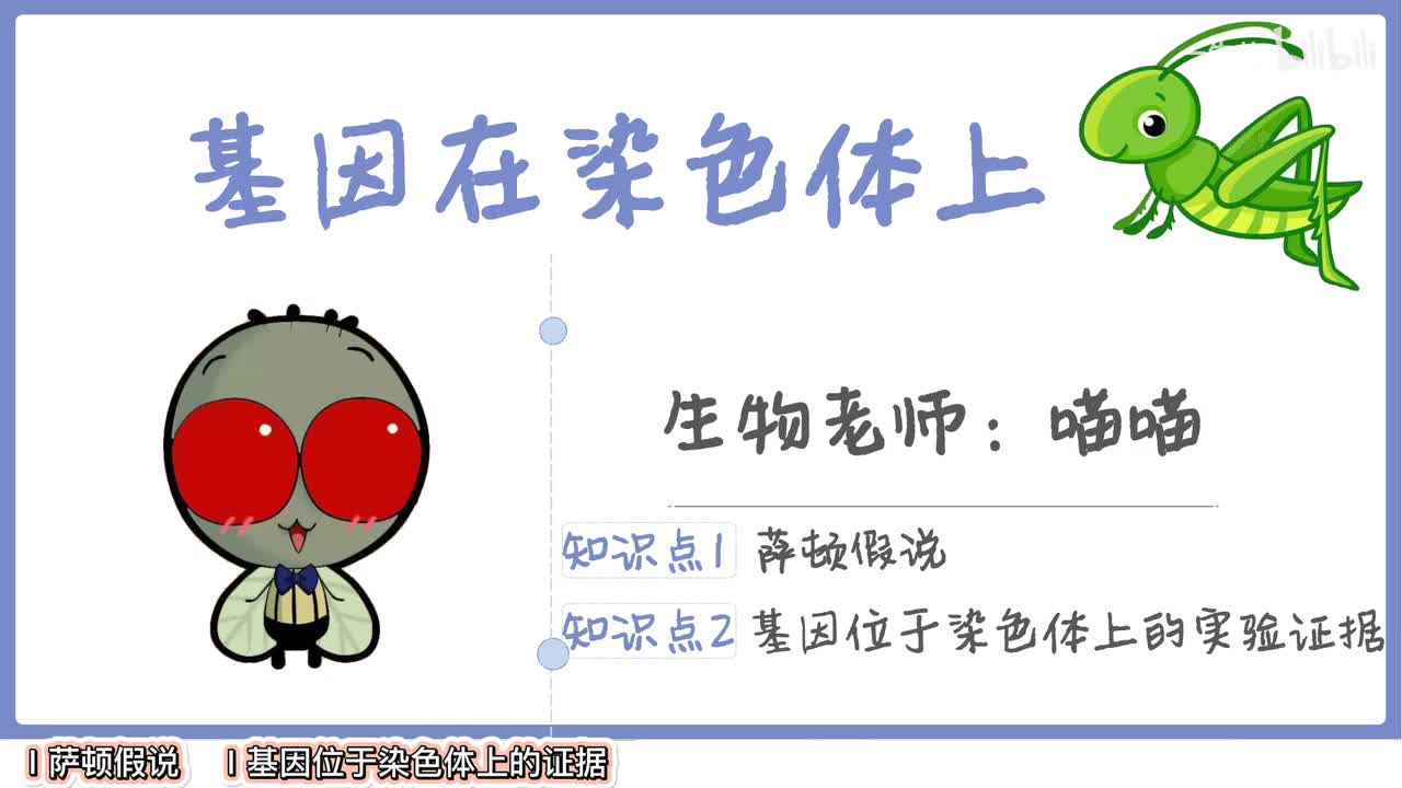 遗传】12基因在染色体上【辞典】