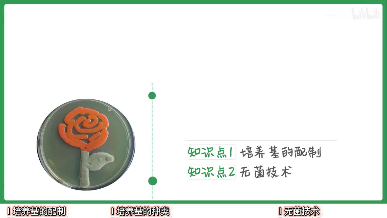 发酵工程】2培养基与无菌技术【辞典】