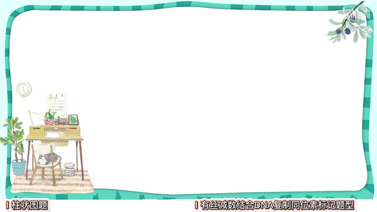 细胞生命历程】8减数分裂柱状图+同位素标记【考点】拔高