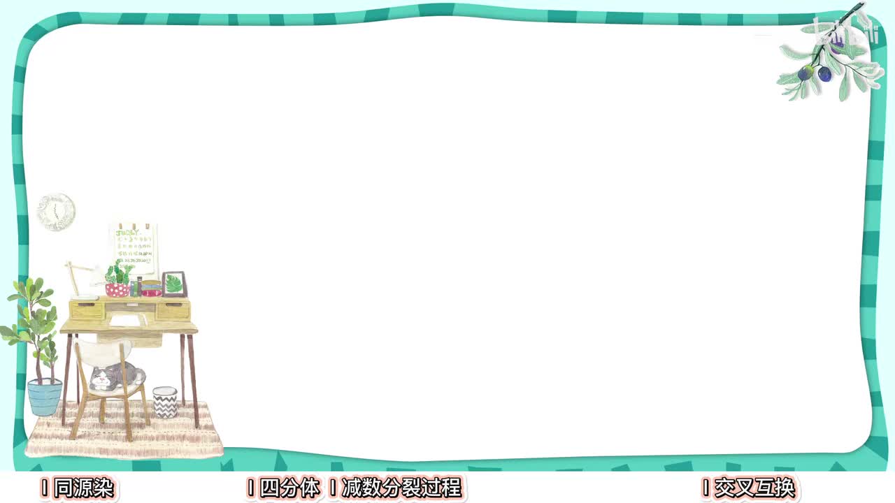 细胞生命历程】5减数分裂概念题【考点】基础