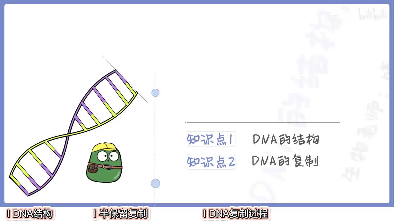 基因的本质】2DNA结构与复制【辞典】