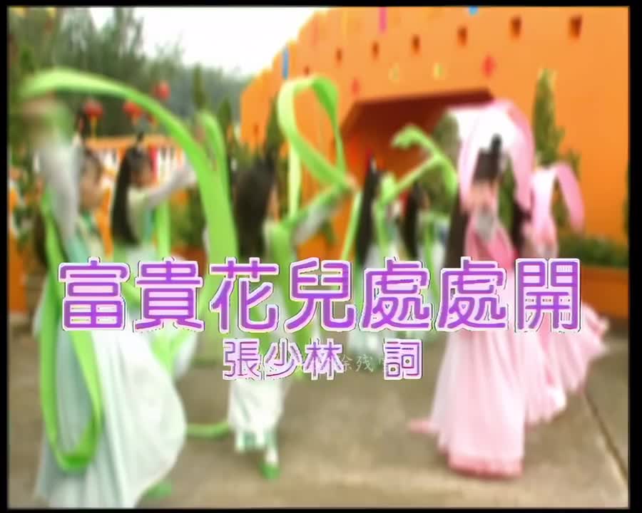 富贵花儿处处开