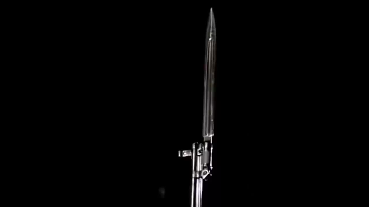 20. 5.1 武装力量组成