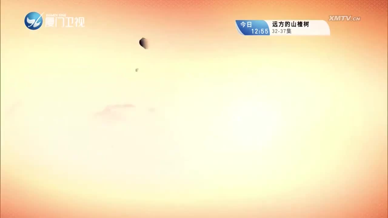 柳君拂（11）斗阵来看戏 2023.10.07 - 厦门卫视