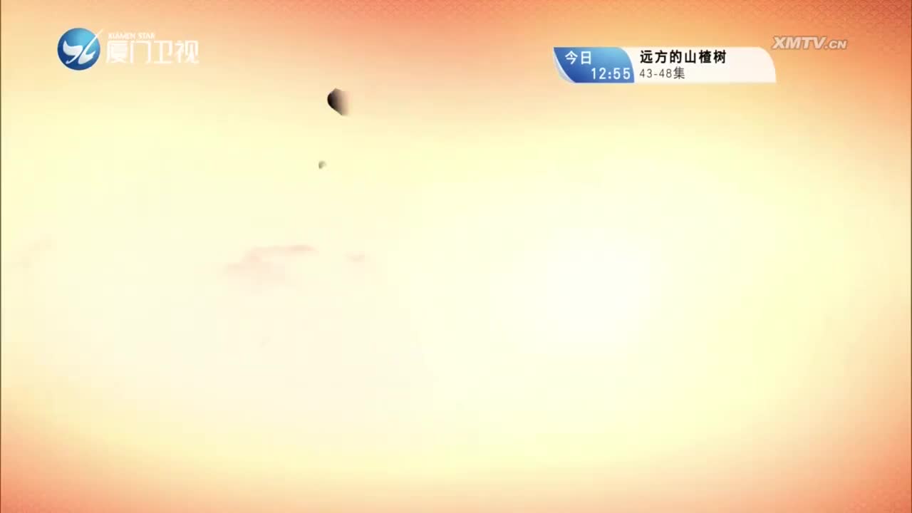 柳君拂（12） 斗阵来看戏 2023.10.08 - 厦门卫视